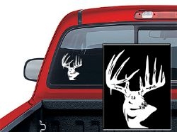 Typical Whitetail Deer Decal