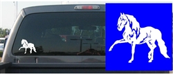 Andalusian Decal